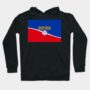 ASSYRIA The Cradle of Civilization 2 Hoodie